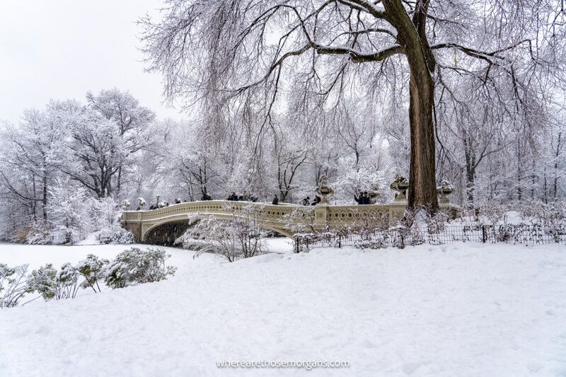 Small ornate bridge next to a tall bare tree with snow on the ground