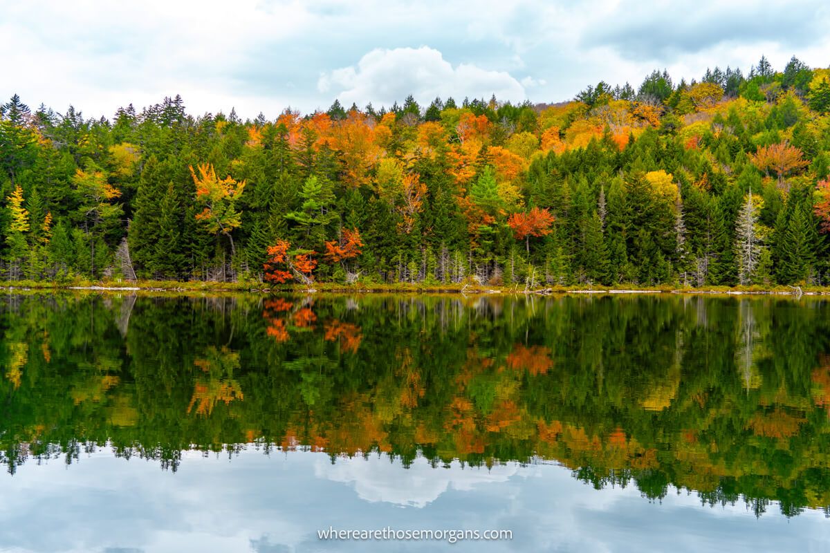 A still pond with trees encircling and a reflection of the trees in the pond with some fall foliage colors on the Kancamagus Highway in fall