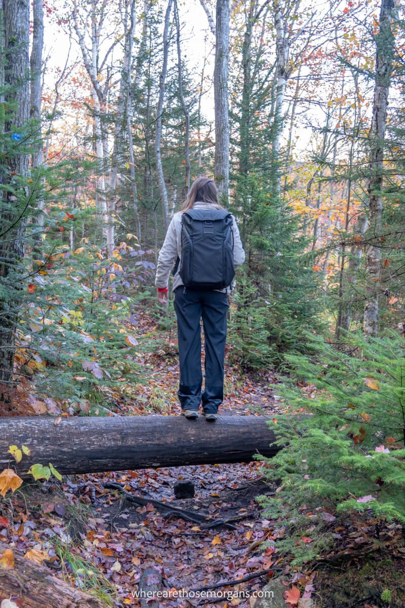 Hiker in pants and fleece with backpack stood on a log crossing a trail in a forest