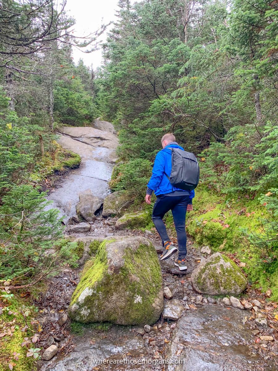 Hiker in blue coat walking  along a rocky path through vegetation on a cool but bright day on the Mt Marcy hike in New York