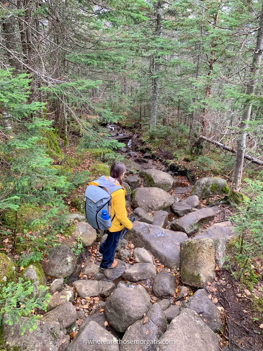 Hiker with yellow jacked and grey backpack climbing down steep rocks and boulders in a forest