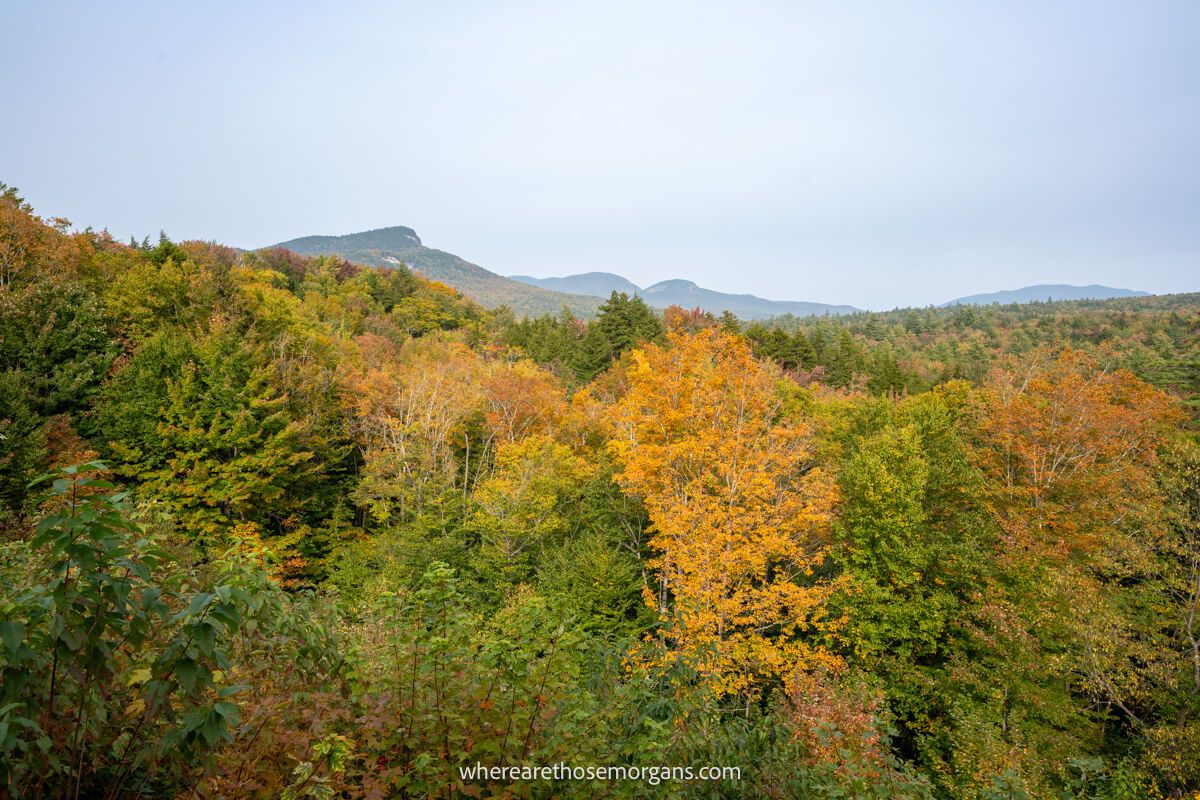 View over lots of trees as far as the eye can see with some fall foliage colors and distant mountain peaks just visible along the Kancamagus Highway drive