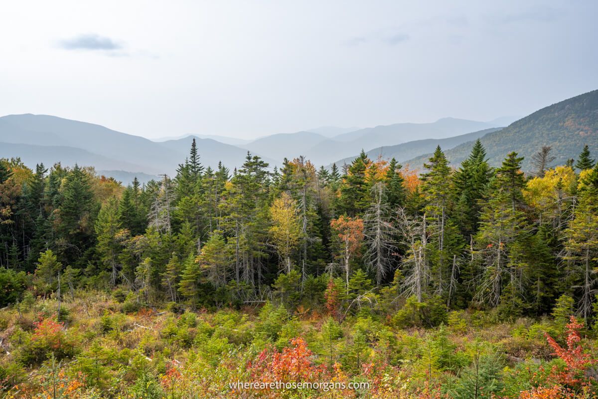 Far reaching view over trees and rolling hills covered in colorful leaves on a misty day on the west side of the Kancamagus Highway in fall