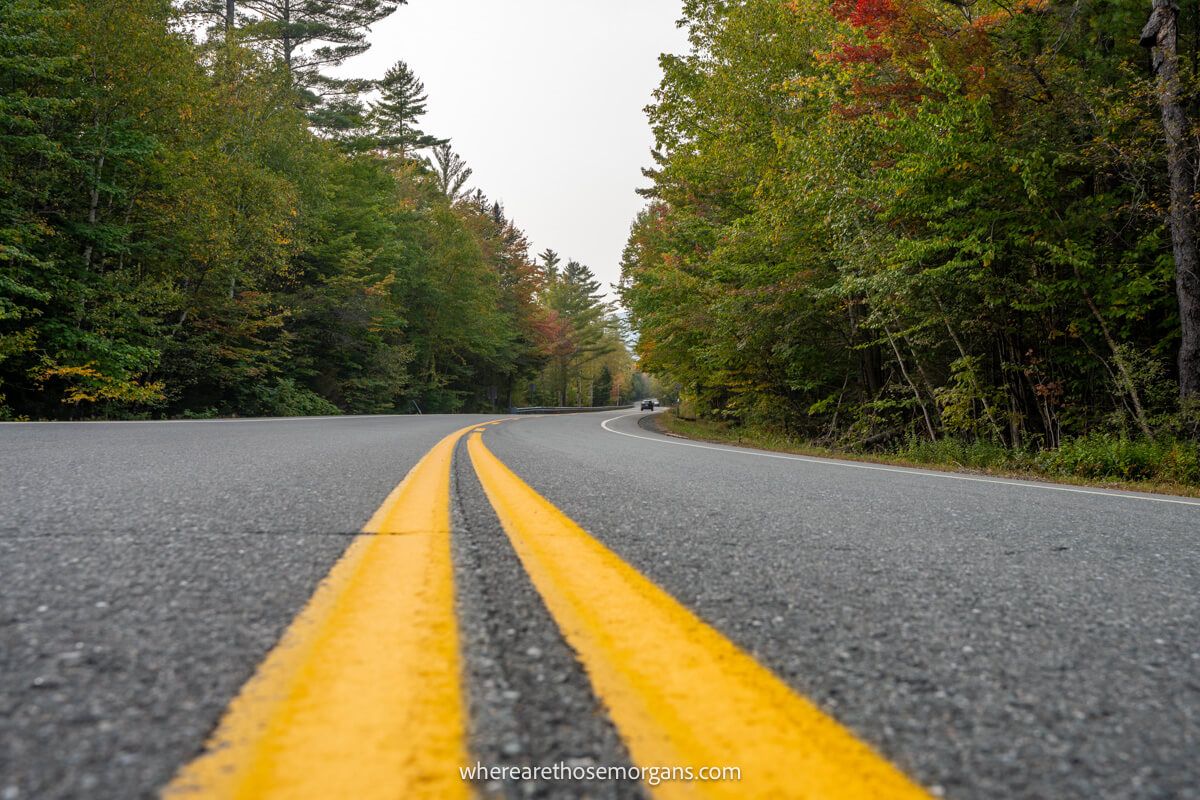 Photo of a road taken from close to the tarmac and yellow lines leading through trees