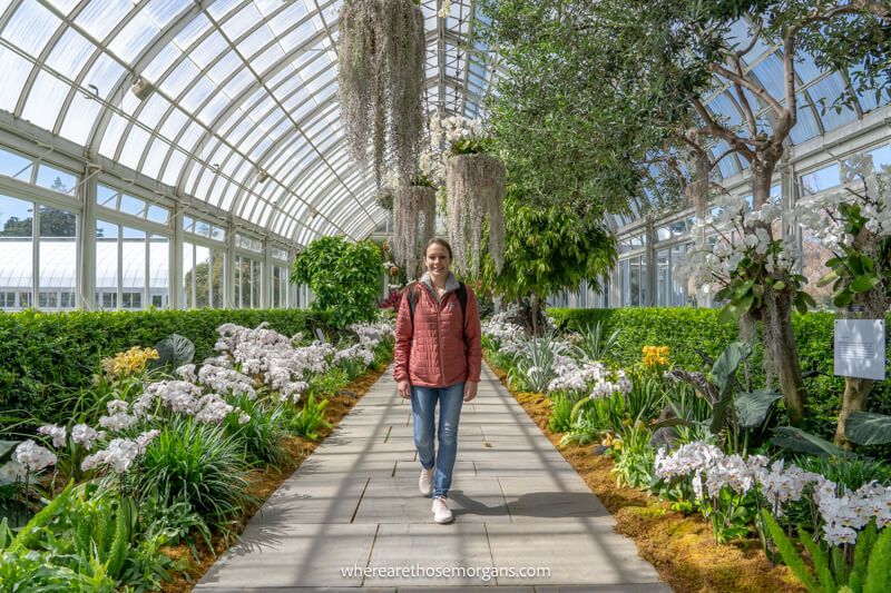 Tourist walking through a tunnel filled with plants and flowers in a botanical garden