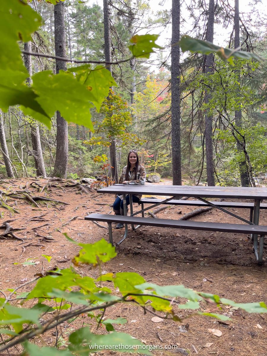 Tourist sat at a wooden bench in a forest surrounded by trees