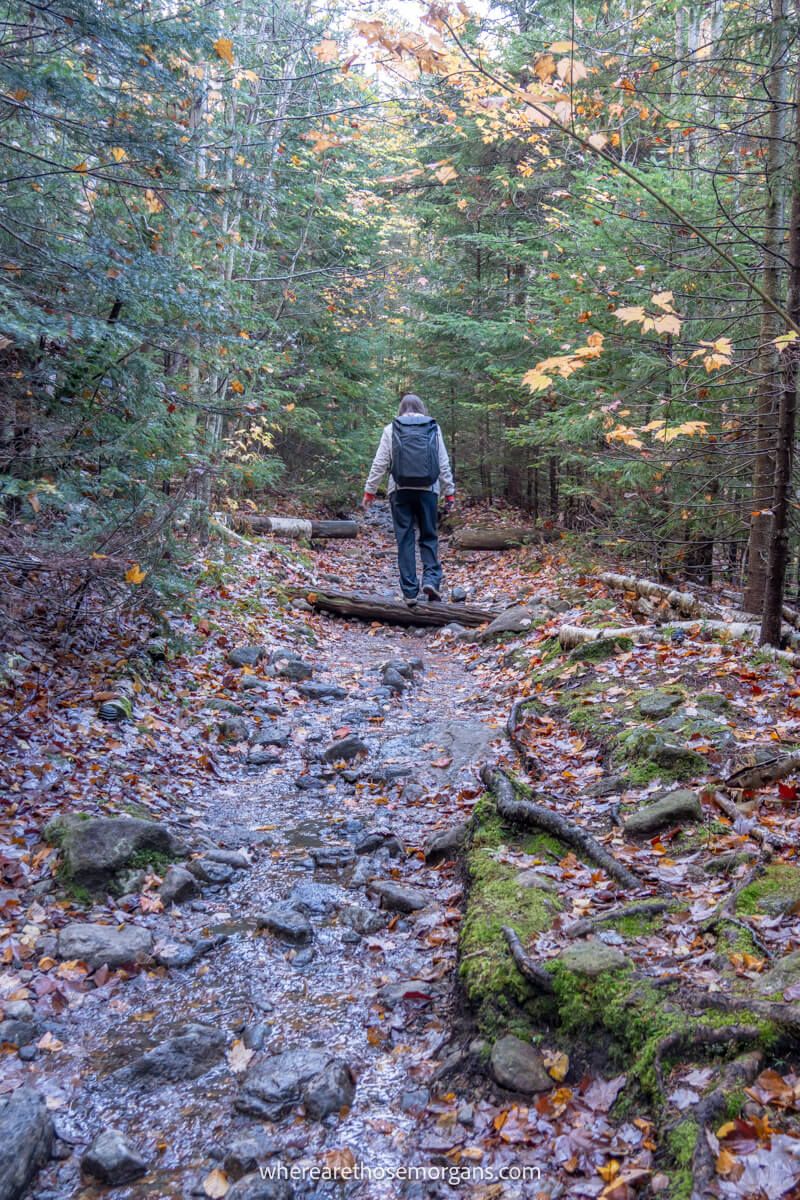 Hiker on the wet and rocky Van Hoevenberg Trail climbing through a forest to Mt Marcy