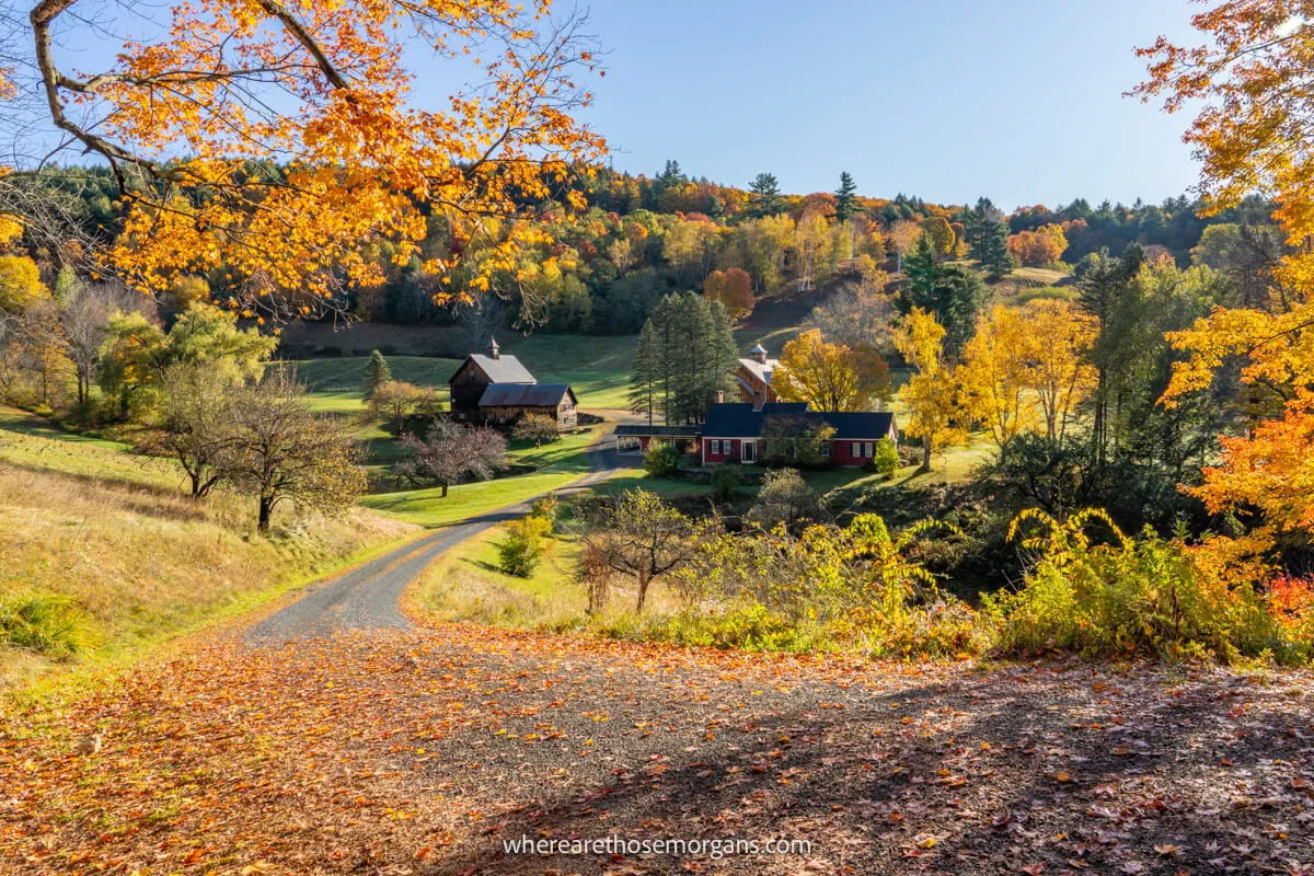 Road leading into a farm in a rural countryside setting with orange leaves and fall foliage colors in trees