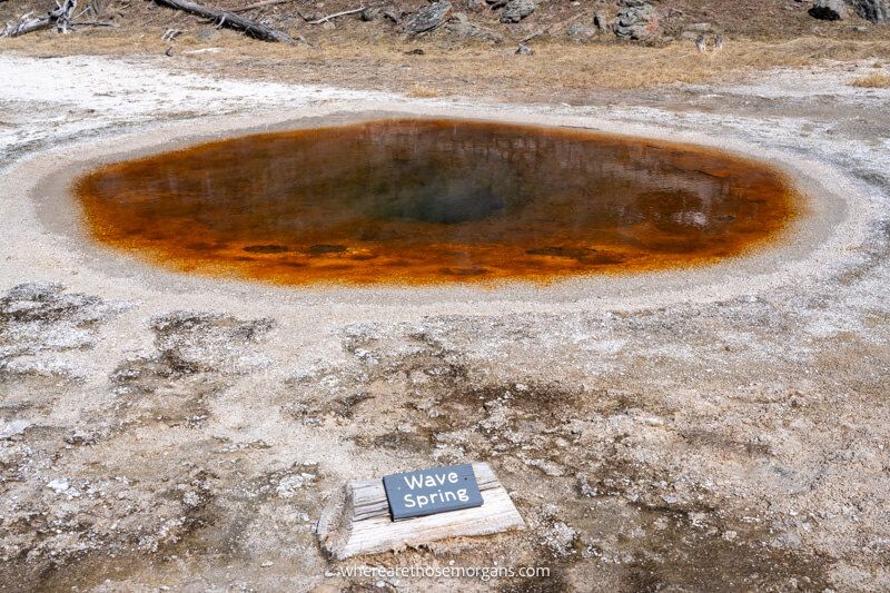 Small dark red and brown hot spring in Yellowstone National Park