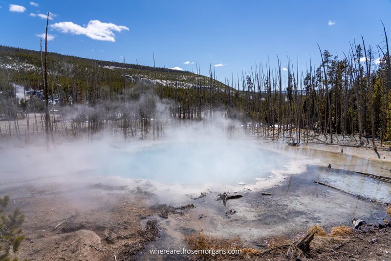 Blue hot spring lightly billowing surrounded by bare trees