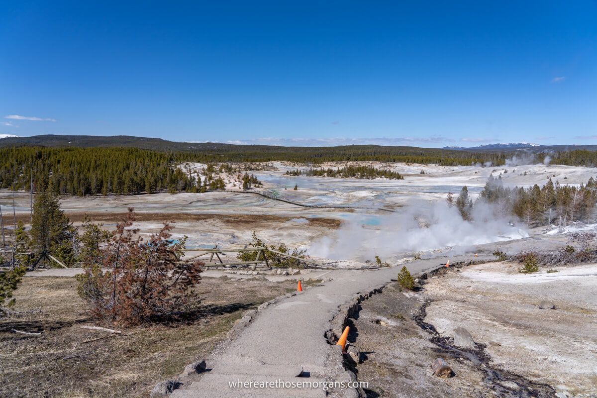 Wooden boardwalk leading through a geyser field on a sunny day