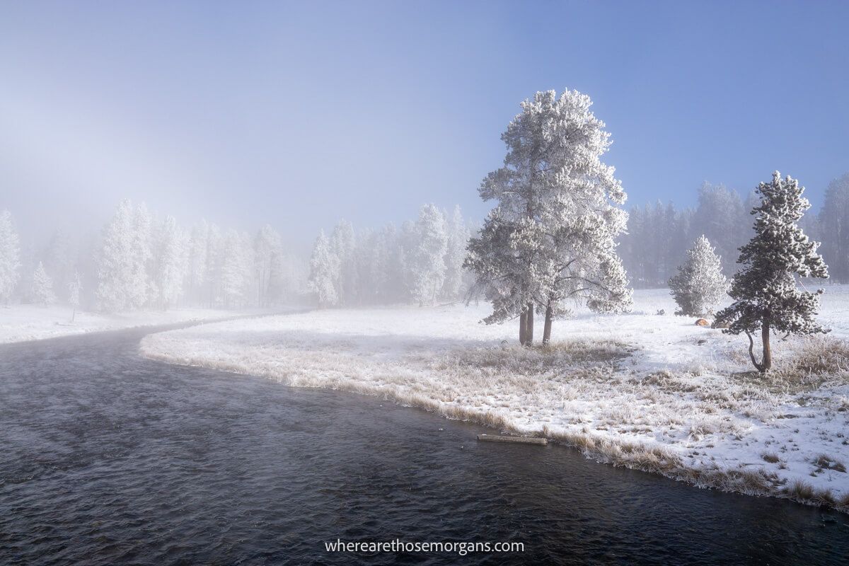 Curving river next to frozen grass and trees shrouded in fog in Yellowstone National Park