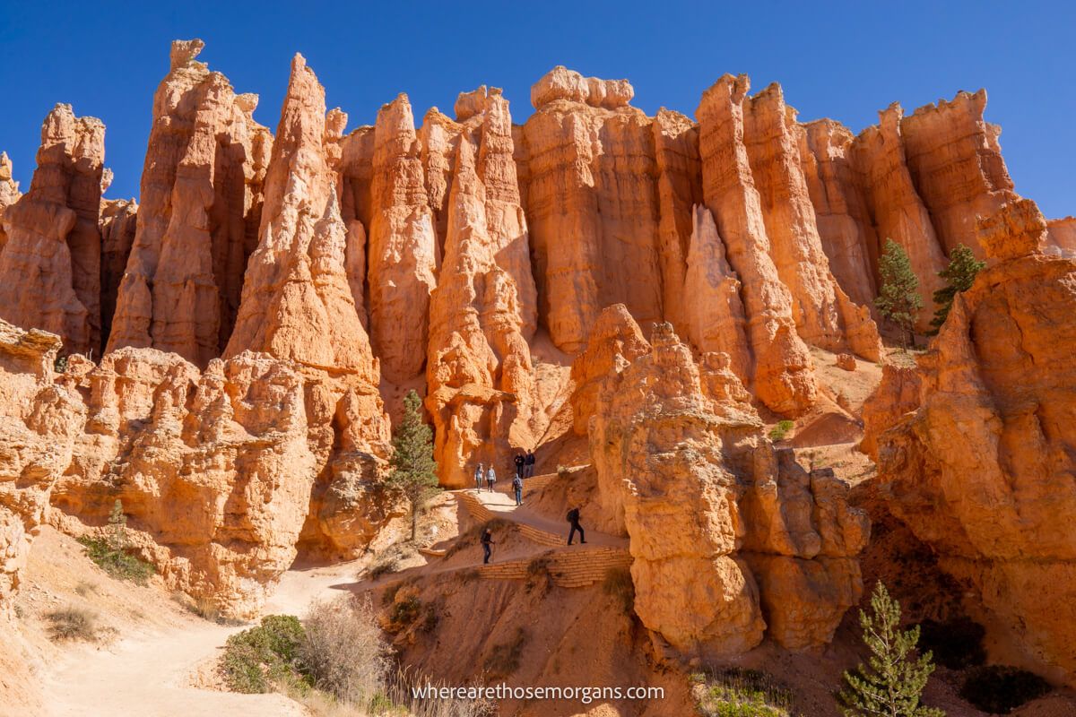 Looking up at sandstone towers, spires and hoodoos from below on a sunny day with clear sky