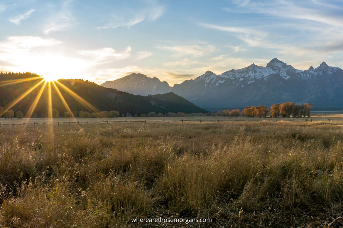 Golden yellow, wide open and flat meadows leading to mountains and a starburst of the sun on the horizon from Mormon Row at sunset in Grand Teton National Park