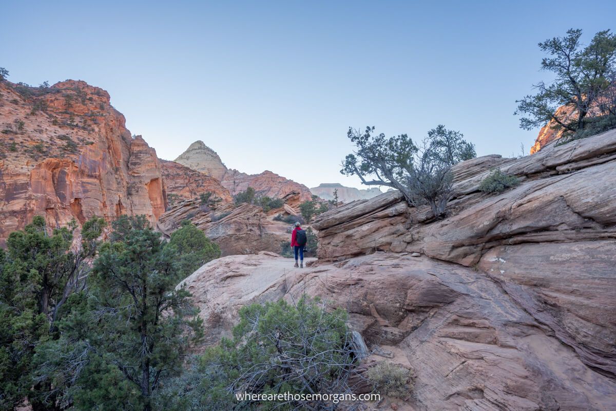 Hiker walking on rocky ledges in a rocky landscape with trees on a clear day