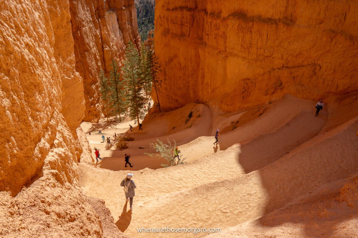 Looking down through a narrowing sandstone canyon with hikers walking up and down switchbacks