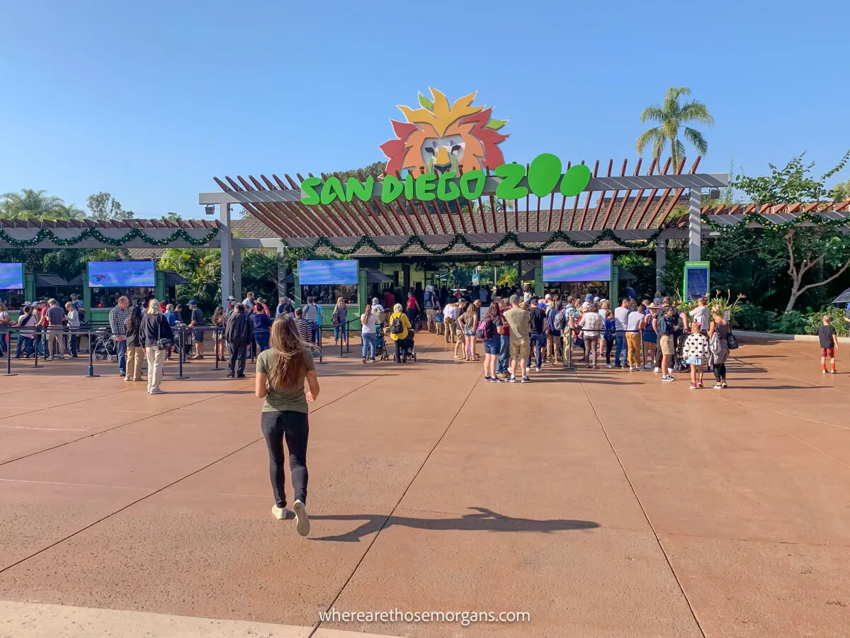 Tourist walking up to a zoo entrance to join throngs of people already lining up on a clear sunny day