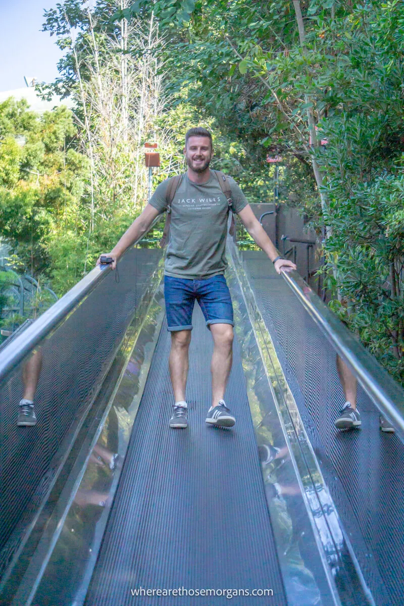 Smiling tourist in San Diego zoo coming down an escalator holding onto the rails with trees behind