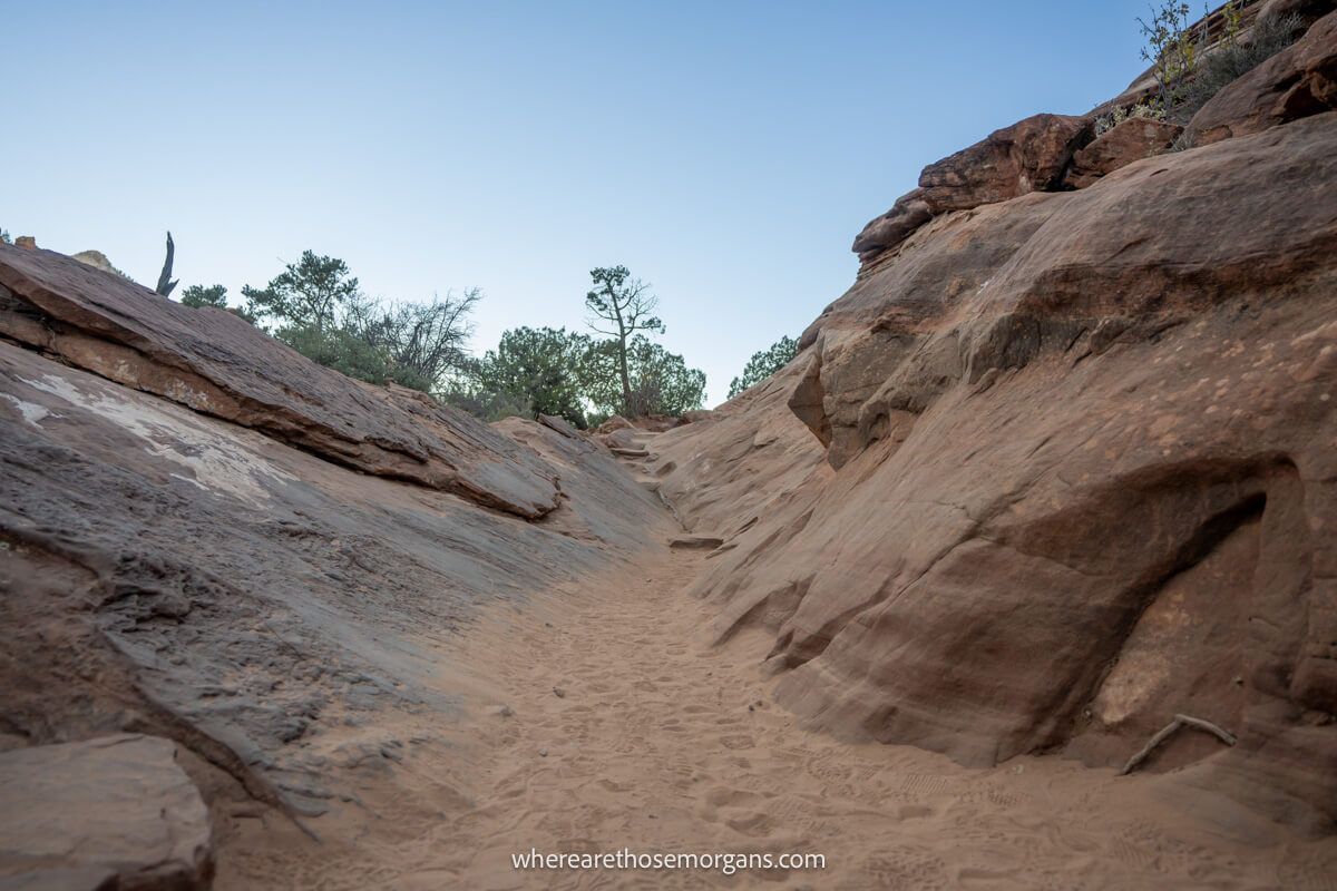 Empty sandy hiking trail flanked by smooth red rocks leading to green vegetation and a clear blue sky ahead