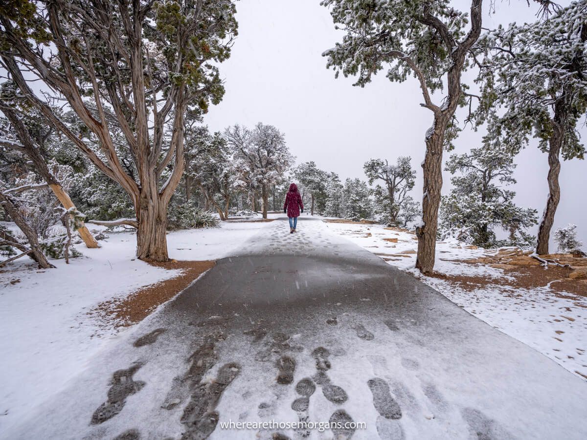 Photo of a tourist in winter coat walking along a Grand Canyon South Rim path with snow on the ground leaving footprints in the snow between trees with green leaves and thick fog in the air