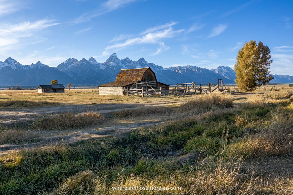 Wide open grassland with a tree and wooden barn leading to distant mountains on a clear day