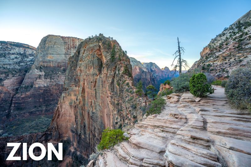 Photo of a narrow rocky hiking trail leading to a razor thin climb up another rock formation with vertical drops to either side into a deep canyon at dawn with text reading Zion