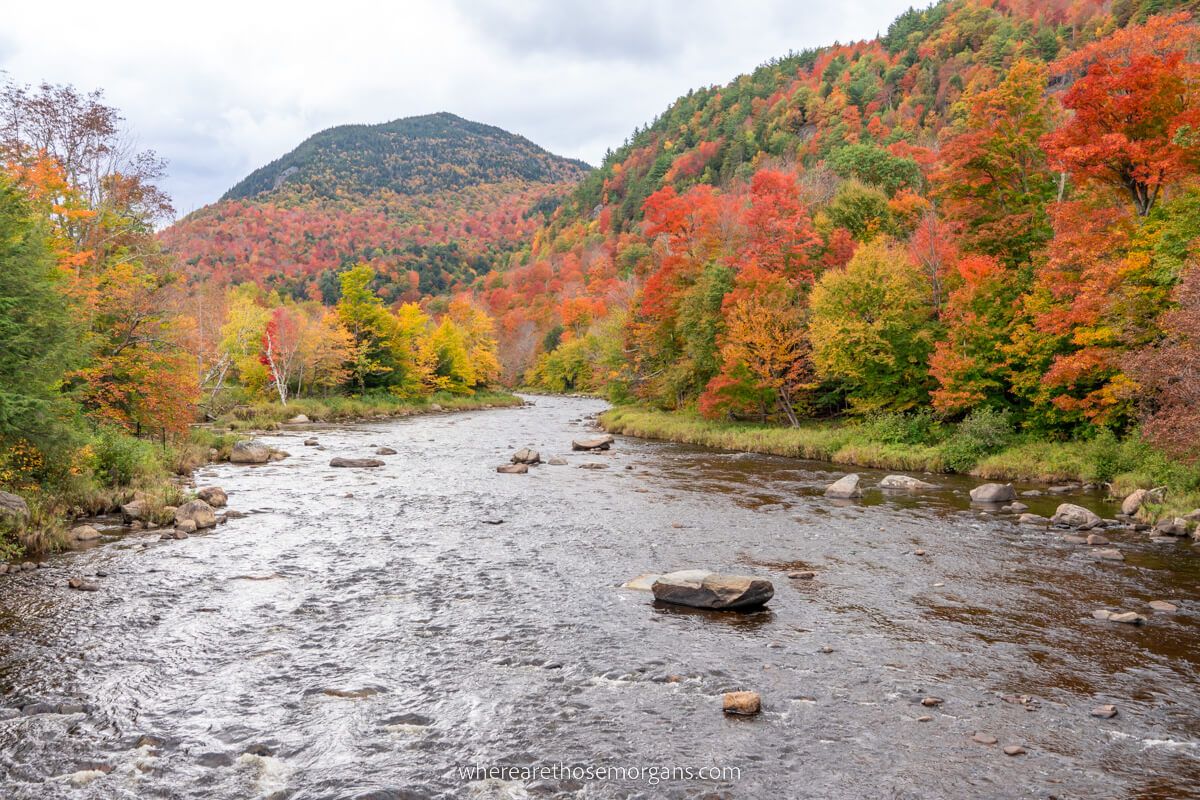 Gorgeous reds, oranges and yellows with green leaves flanking a river on a cloudy day