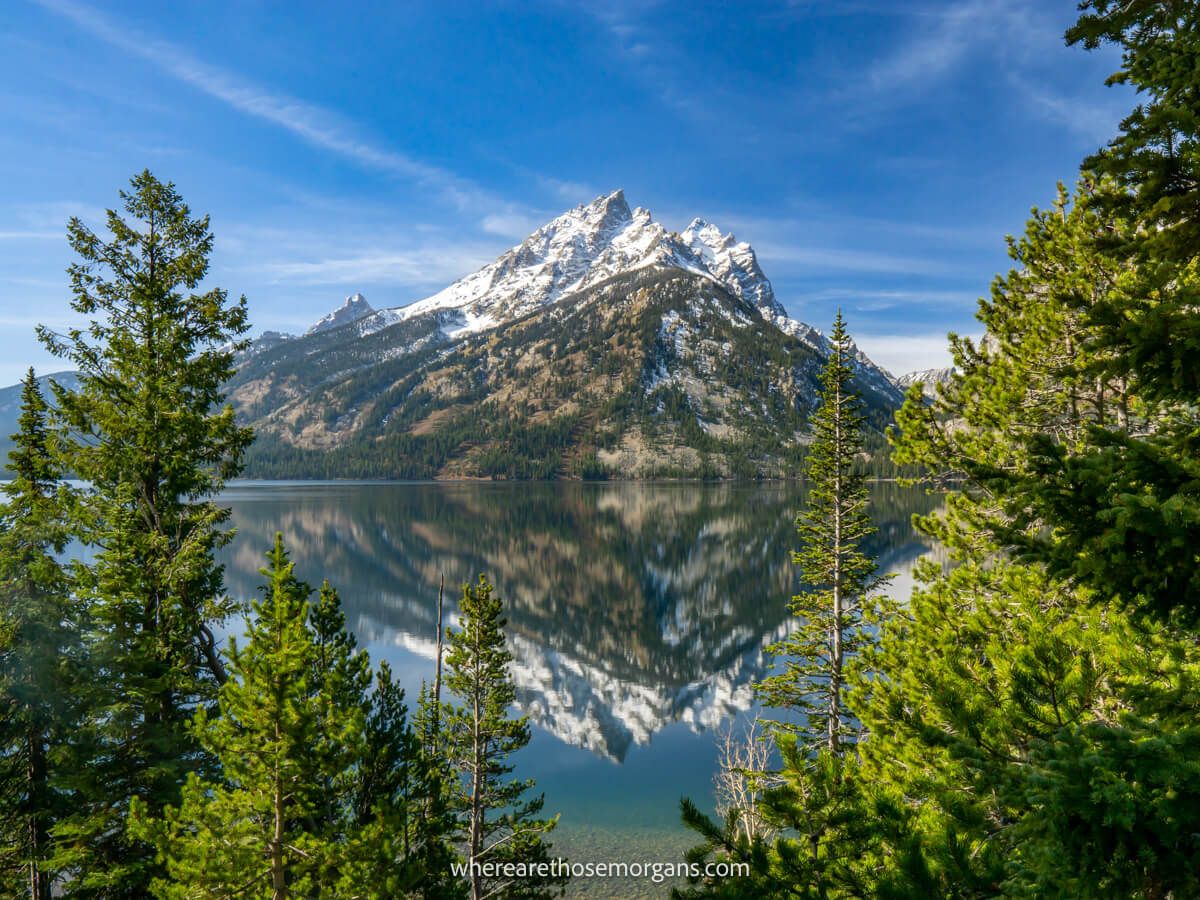 Grand Teton mountains reflecting in Jenny Lake through green trees in the foreground