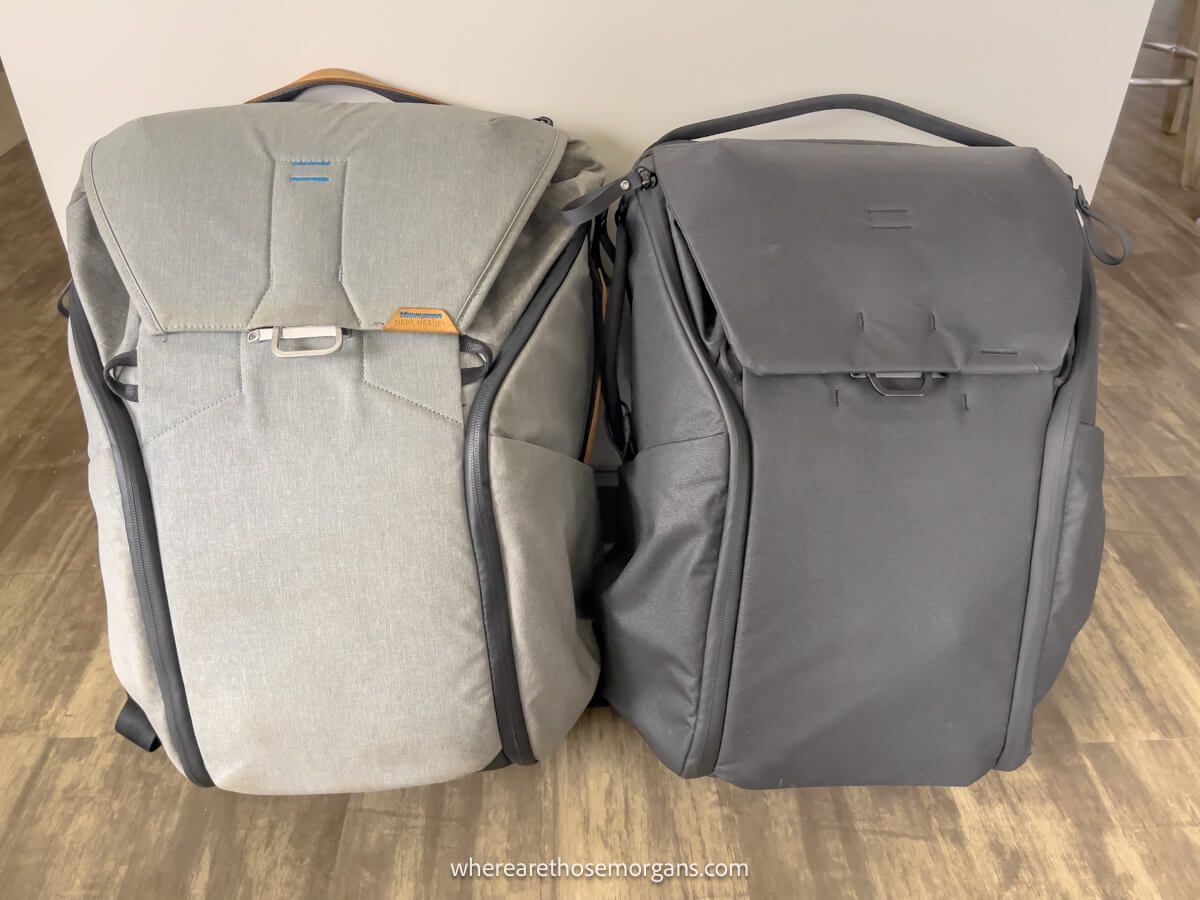 Peak design everyday backpack v1 20l sale