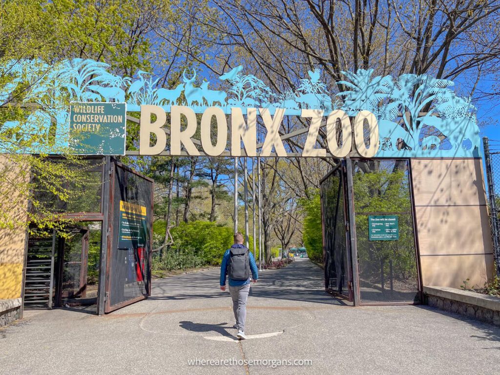 Visitor walking into the Bronx Zoo in new york city