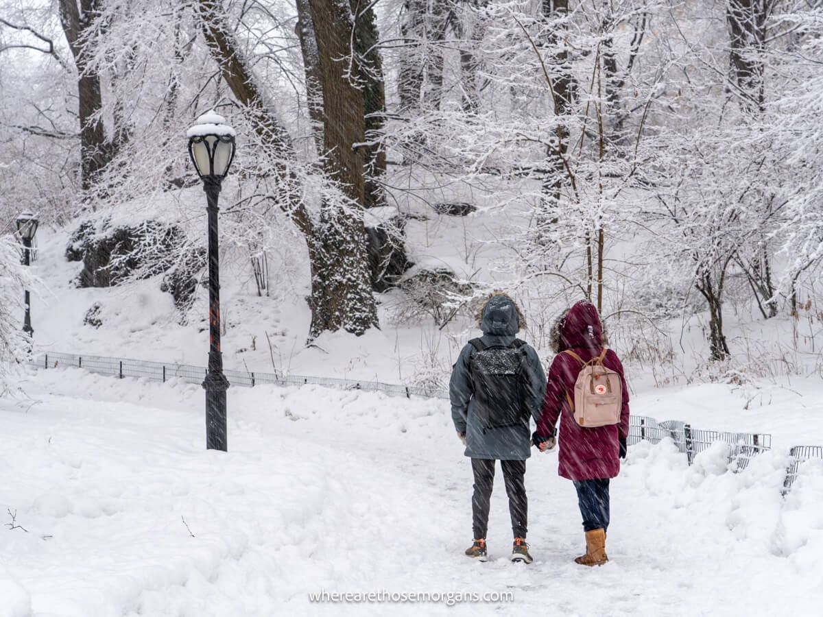 Photo of a couple standing together holding hands with backs to the camera wearing heavy winter coats and backpacks in Central Park NYC on a snow day