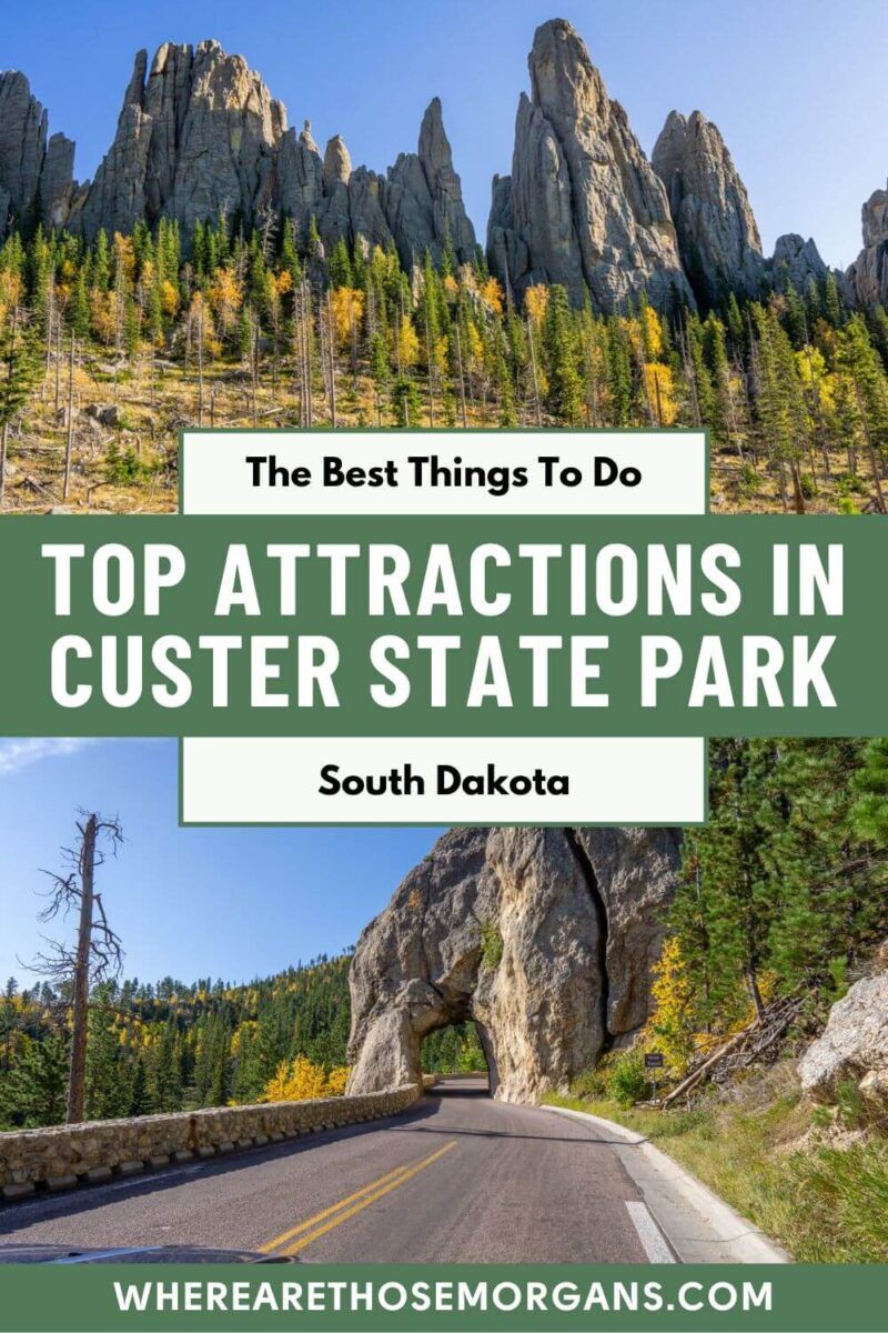 8 Fun Things To Do In Custer State Park, South Dakota