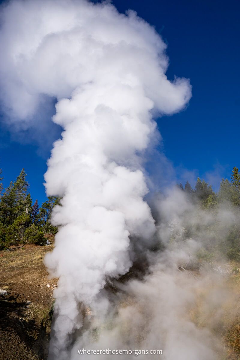 Photo of thick billowing steam flowing up out of a vent in the Yellowstone caldera
