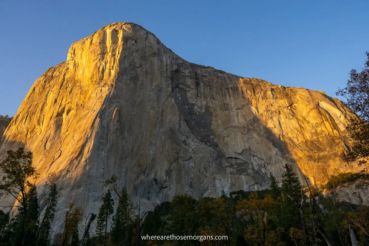 Photo of El Capitan illuminated with golden yellow light at sunrise