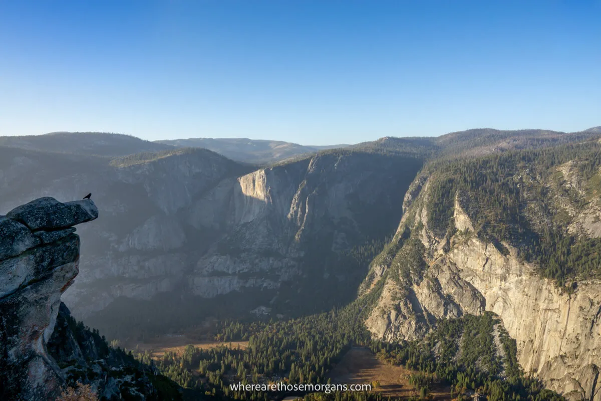 Photo of the deep and wide open Yosemite Valley from Taft Point with a bird perched on a small rock