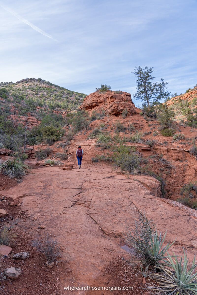 Hiker walking on a red rocky path with desert vegetation and rock formations on a clear day
