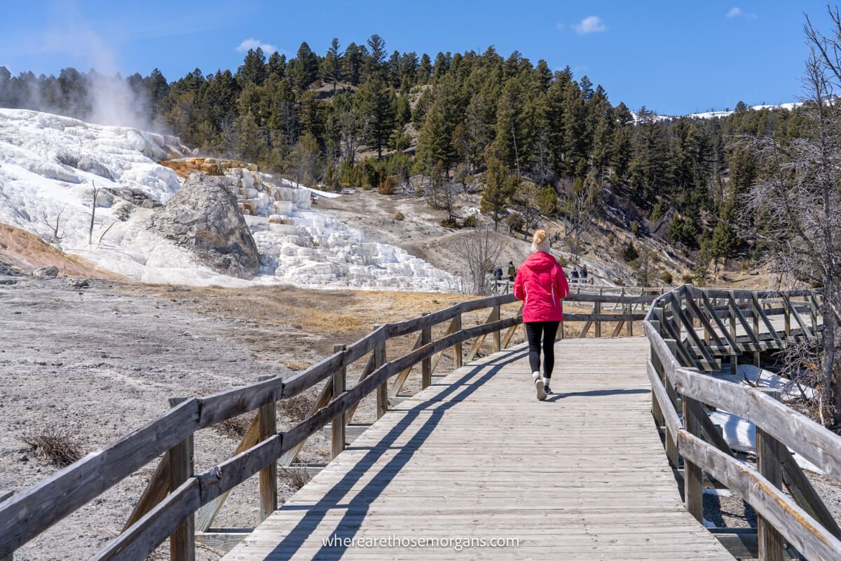 Photo of a hiker walking along a wooden boardwalk looking at mineral terraces with steam billowing