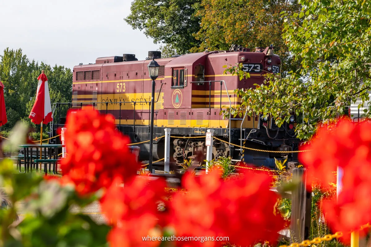 Train on a track surrounded by trees and flowers