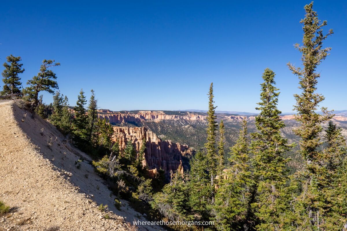 Curving sandstone rim with lots of trees and a clear blue sky