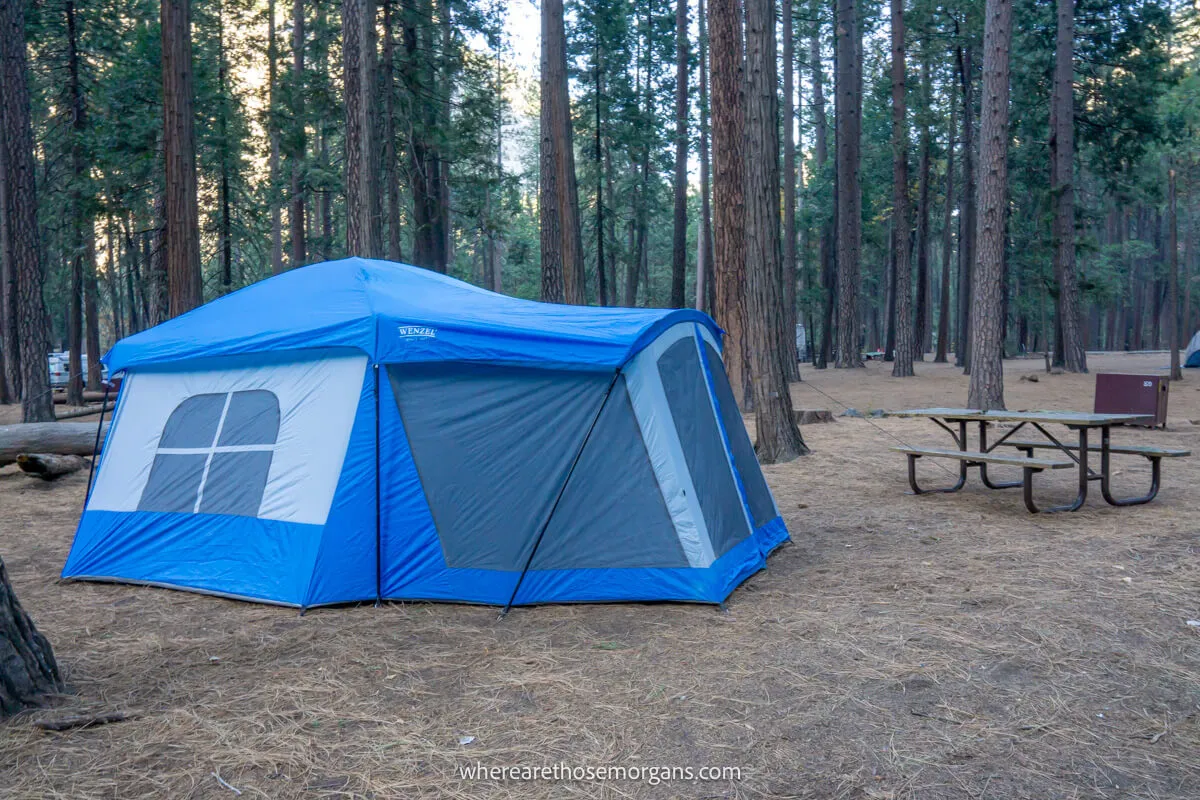 Photo of a blue tent pitched in a forest surrounded by trees next to a bench