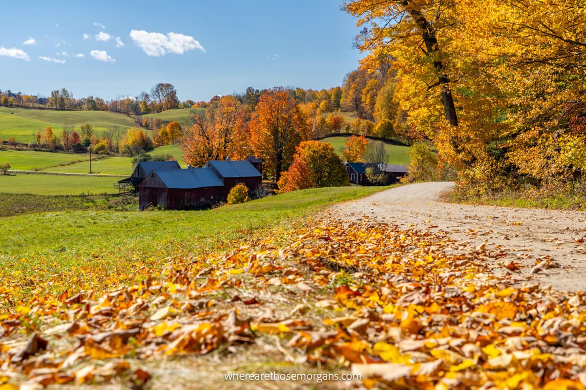 Road with leaves on the ground leading to a farmhouse and rolling hills with a blue sky