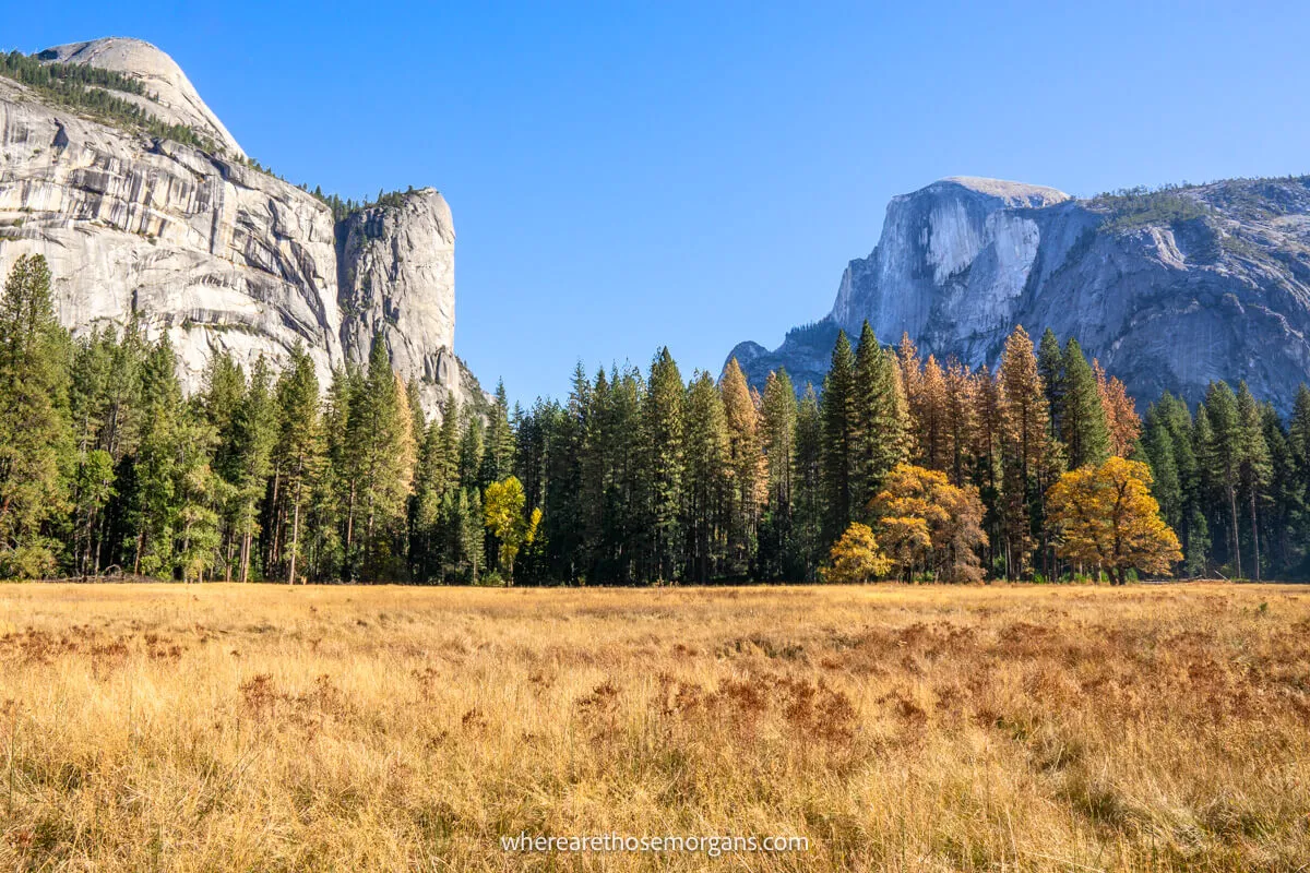 Photo of a valley filled with golden grass leading to evergreen trees and tall granite monoliths on a clear sunny day